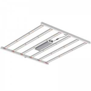 800W 4*4FT Full Spectrum Spectrum Lighting Lighting chonhà kính trongnhà hoặc ánh sáng phát triển thương mại